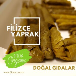 filizce
