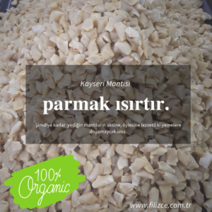 mantılar